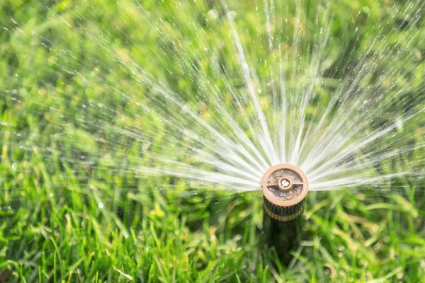 Cost of Spigot Installation in Wichita