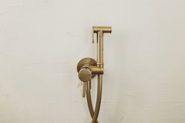 Cost of Bidet Plumbing in Wichita