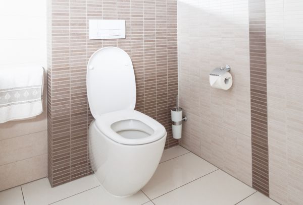 Cost of Toilet Plumbing Installation in Wichita